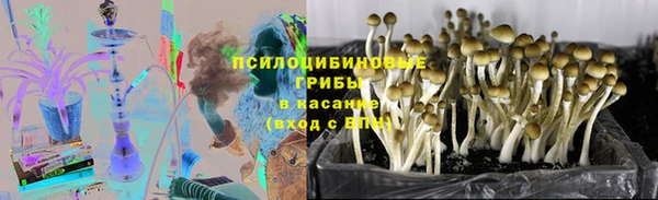 ALPHA PVP Краснослободск