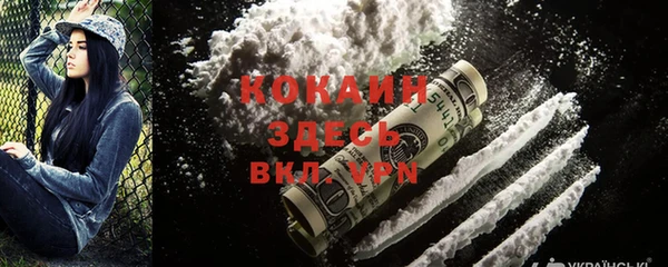 шишки Алапаевск