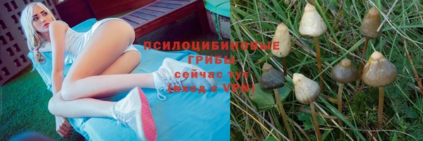а пвп мука Краснотурьинск